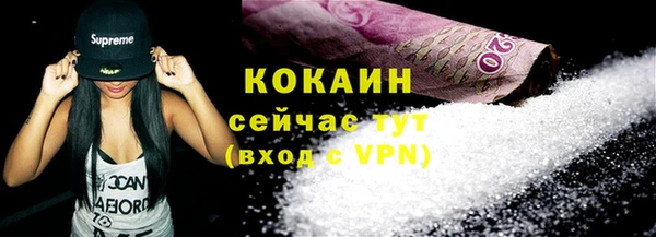 молекула духа Ельня