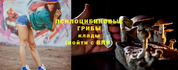 марки lsd Елизово