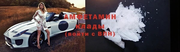 молекула духа Ельня