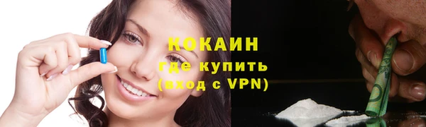 молекула духа Ельня