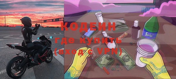 молекула духа Ельня