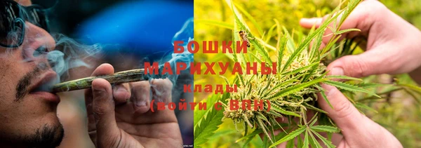 молекула духа Ельня