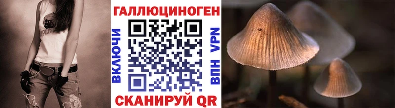 shop состав Березники Галлюциногенные грибы Psilocybe